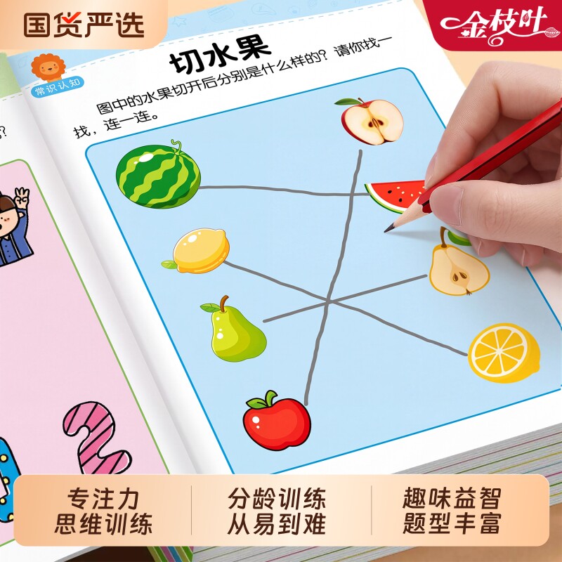 儿童思维逻辑训练书幼儿园中班数学全...