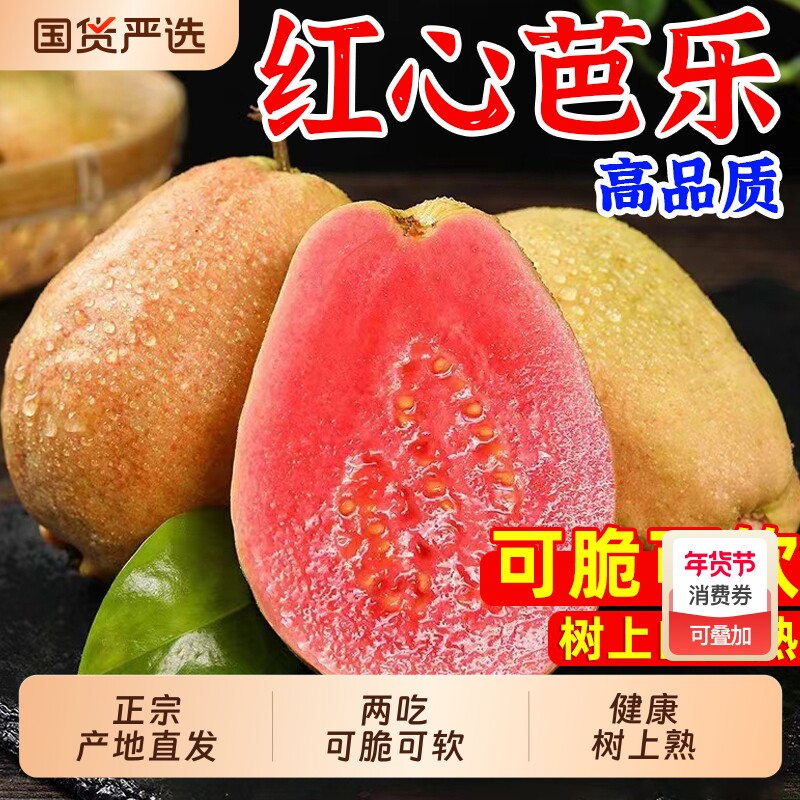 福建正宗红心芭乐新鲜水果包邮大果脆甜胭脂红巴乐番石榴软心软糯
