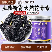 北京同仁堂桑葚干黑桑椹特级新鲜非新疆泡水中药材正宗官方旗舰店