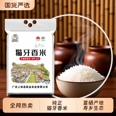 正宗猫牙香米广西寿乡上林特产农家晚稻籼米新米细长大米真空生态