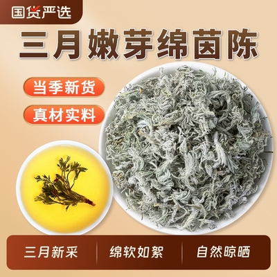 三月茵陈中药材官方旗舰店白蒿棉茵陈蒿绵茵陈因陈泡茶水新鲜散装