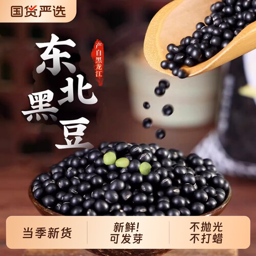 东北正宗绿心黑豆打豆浆专用