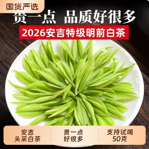 安吉珍稀头采白茶2026新茶明前高山绿茶礼盒装正品特级官方旗舰店