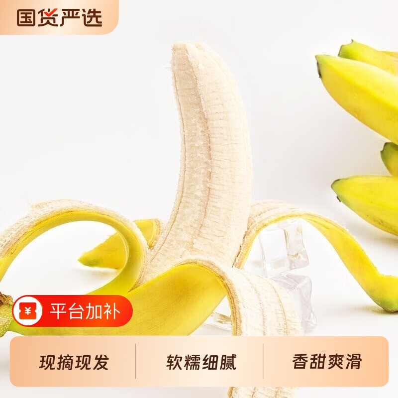 广西高山香蕉新鲜水果现摘现发软糯香甜大香蕉非小米蕉苹果蕉
