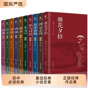 官方正版 鲁迅全集10册无删减 作品集鲁迅文集的经典书籍 朝花夕拾呐喊狂人日记阿q故事新编野草故乡原著小学生文学读本六年级小说