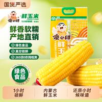 金币到手33！傻小胖内蒙古鲜糯玉米