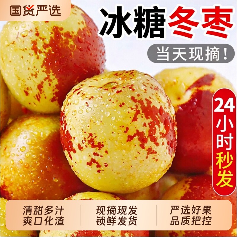 沾化冬枣新鲜正宗冰糖脆枣肉厚核小应季生鲜水果整箱源头直发