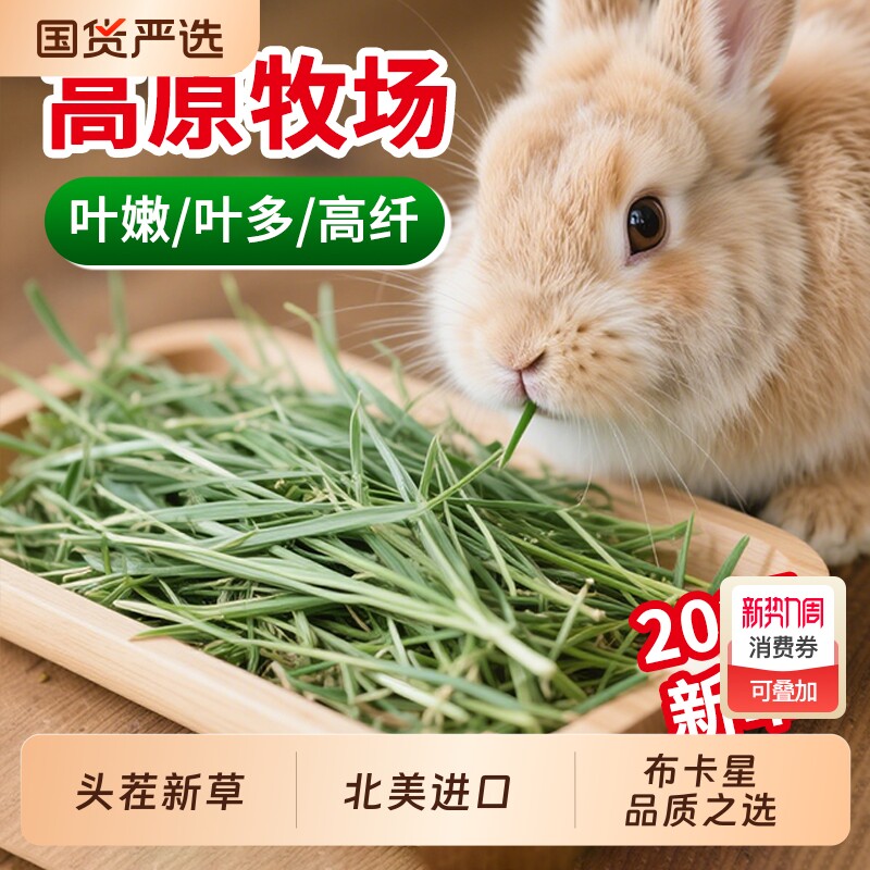 提摩西草2026年晒干兔子荷兰猪豚鼠牧草兔粮饲料美提加提兔草幼兔