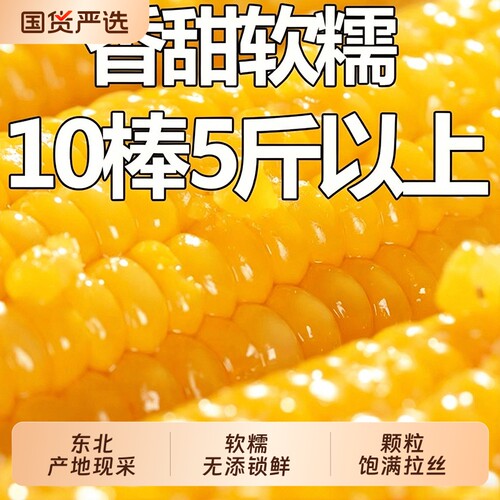 开源保丰东北黄糯玉米新鲜大棒真空装现摘代餐早餐糯玉米软糯香甜