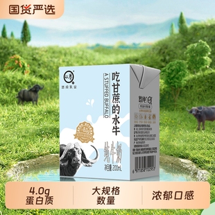 水牛4.0g学生儿童奶纯奶国货早餐 3箱吃甘蔗 认养水牛奶200ml