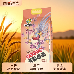 五常大米10斤2025年新米长粒香米双层真空东北大米5kg米饭清香