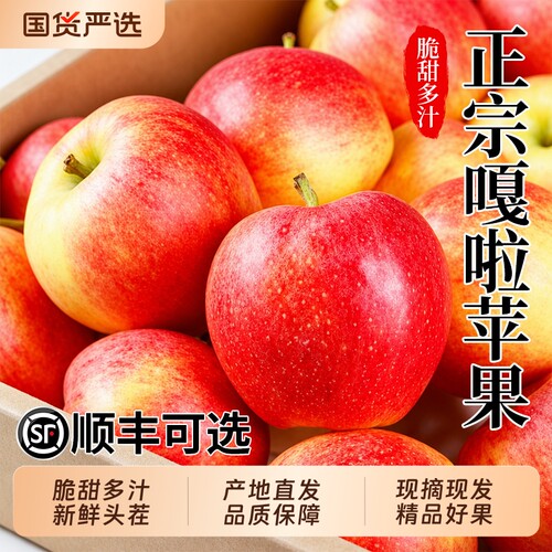 【正宗嘎啦苹果5斤装】脆甜多汁