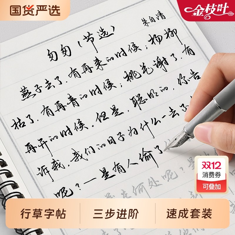 行草字帖成人练字行楷速成套装