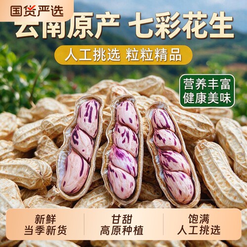 云鲜赞七彩花生湿烤白晒水煮咸干带壳熟新鲜五彩花生生熟坚果零食