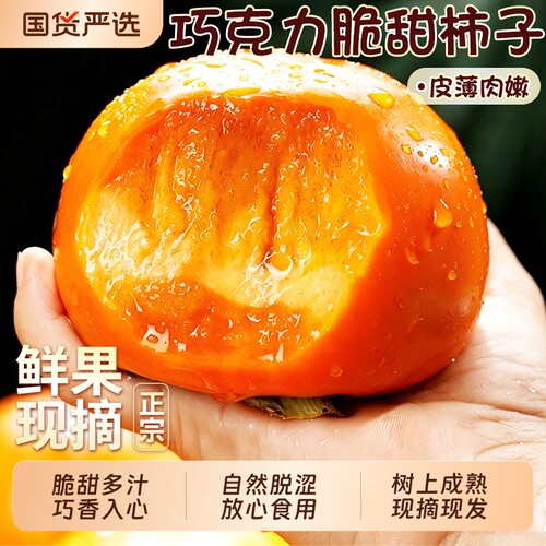 【巧克力脆柿5斤钜惠】脆甜多汁