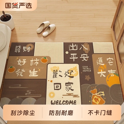 2025防滑现代简约入户门地垫耐脏进门新款免洗门垫子脚踏垫进宅