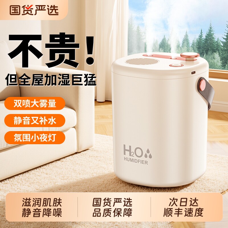 双喷口大容量】2025新款加湿器家用小型静音卧室usb孕妇婴儿空