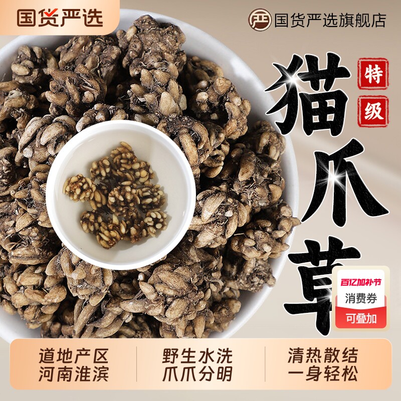 猫爪草中药材正品野生猫抓草中草药材猫瓜草猫爪茶毛抓草新鲜陈皮