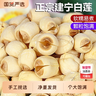 福建建宁2025新白莲子干货去农家自产手工贡莲无硫百合芡实莲心