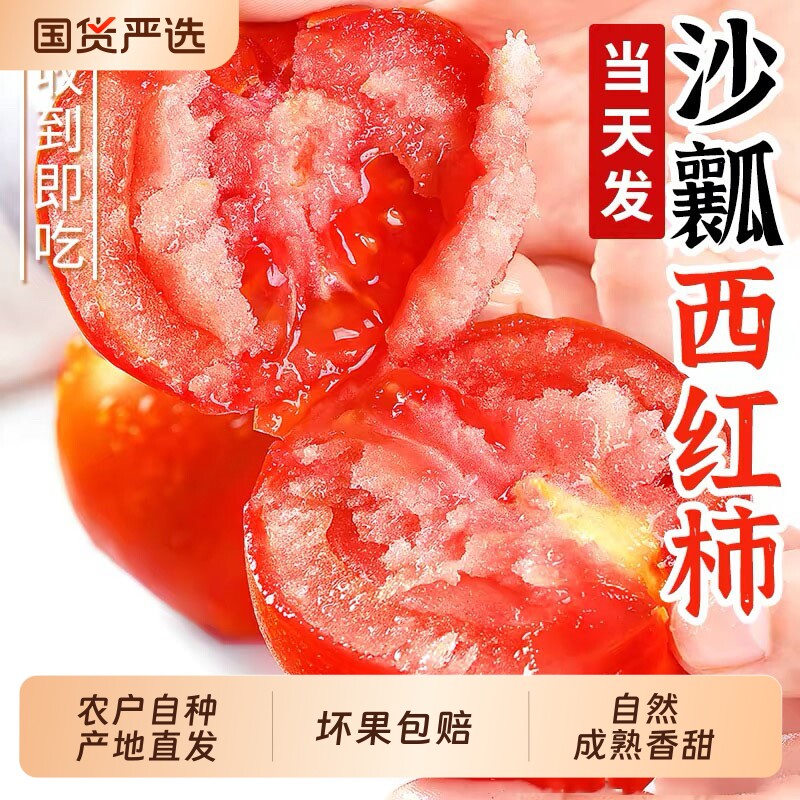 山西沙瓤西红柿番茄自然熟不打药当季新鲜蔬菜非普罗旺斯整箱发