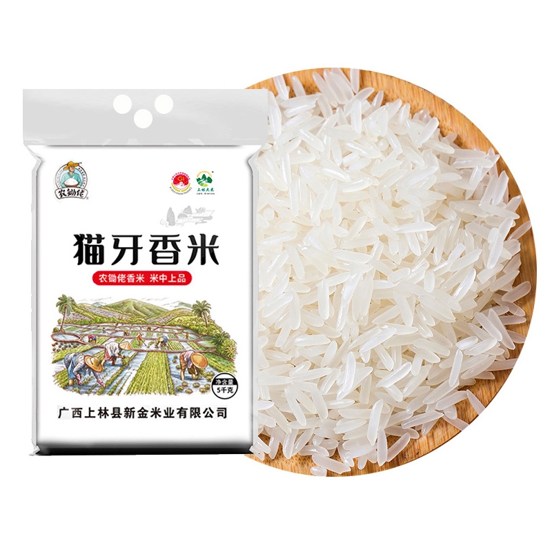 广西正宗猫牙香米农家长粒香大米
