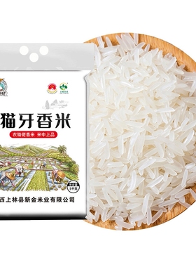 正宗猫牙香米2025年新米稻香米农家种植生态丝苗米大米真空10斤起