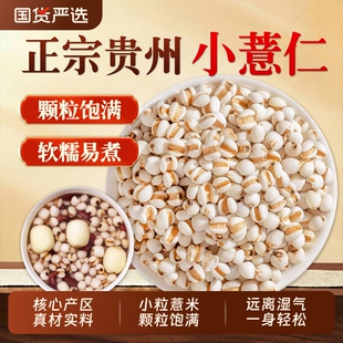 正宗贵州薏米中药材正品官方旗舰店新货薏仁米薏米仁小薏米仁药用