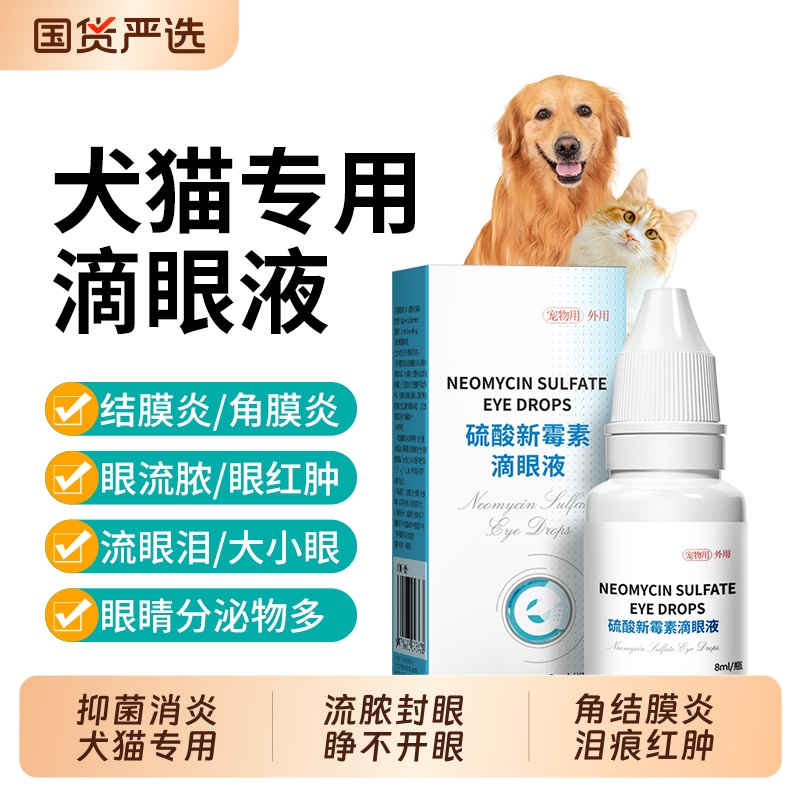 宠物滴眼液硫酸新霉素猫结膜角膜炎宠物用眼炎症猫鼻支眼药水