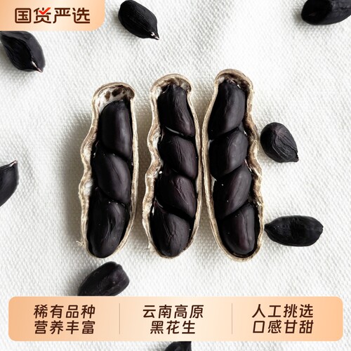 黑花生米生的带壳新货云南特产富硒小粒黑皮花生老品种原味晒干