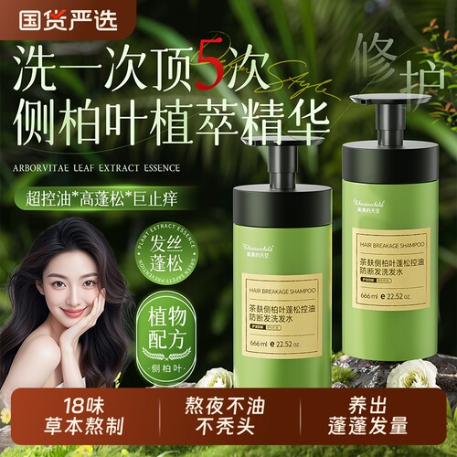 侧柏叶茶麸防脱育发洗发水