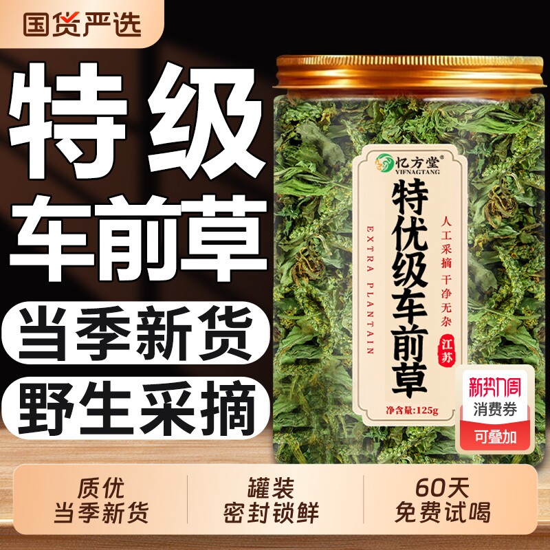 特级车前草野生中药材正品官方旗舰店新鲜干货泡茶泡水喝车前草茶
