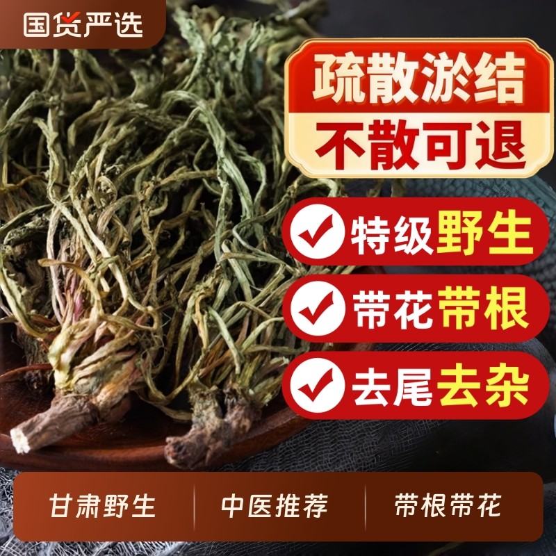 特级野生蒲公英整根蒲公英茶根正品中药材新鲜夏枯草茶官方旗舰店