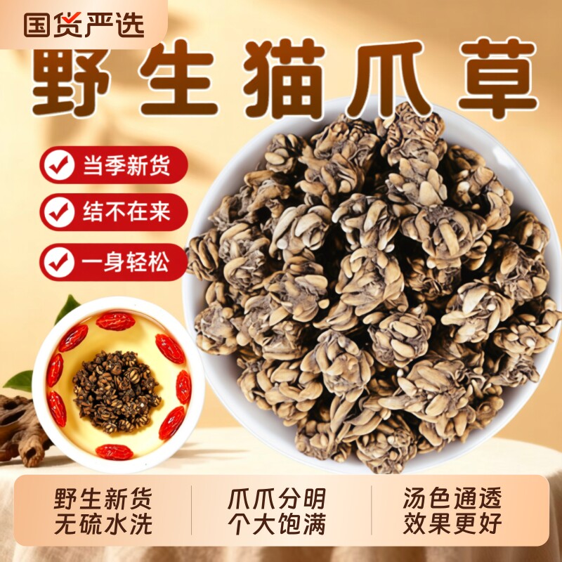 野生猫爪草中药材特级正品江西水洗猫抓草猫瓜草猫爪毛抓草泡水喝