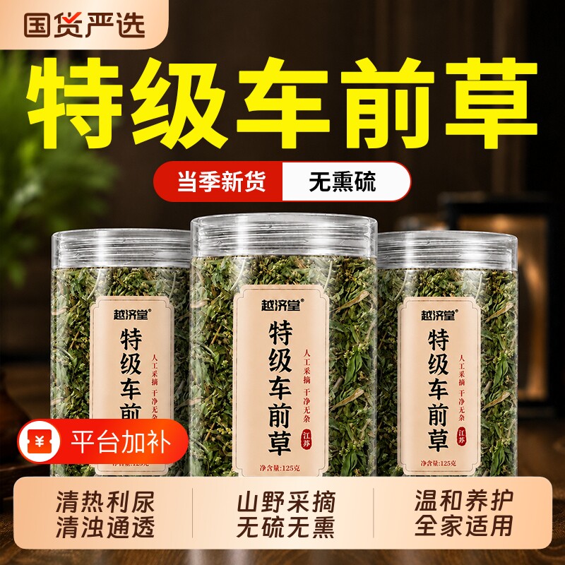 车前草野生干货官方旗舰店新鲜泡水喝的功效与作用中草药尿酸利尿