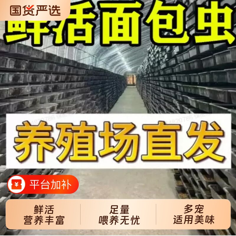 面包虫活体 黄粉虫活虫 鹦鹉鱼 金龙鱼 乌龟 画眉鸟石蛙饲料包邮
