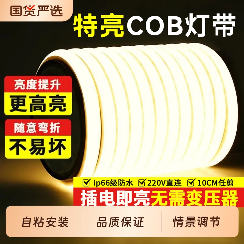 鼎雁led灯带220v户外防水超亮自粘线形灯家用客厅吊顶cob软灯条
