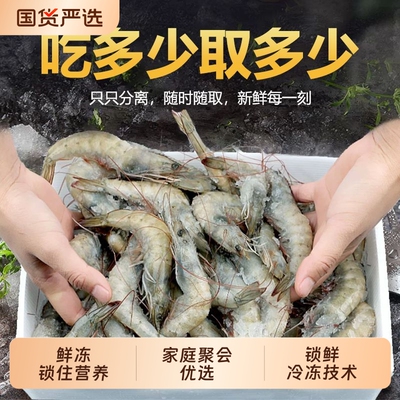 白虾鲜活冷冻厄瓜多尔大虾大基围虾南美白虾单冻海鲜水产海虾