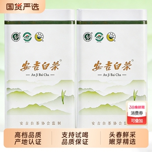 宠江南 安吉白茶新茶叶特级明前绿茶茶叶罐装春茶官方旗舰店正品