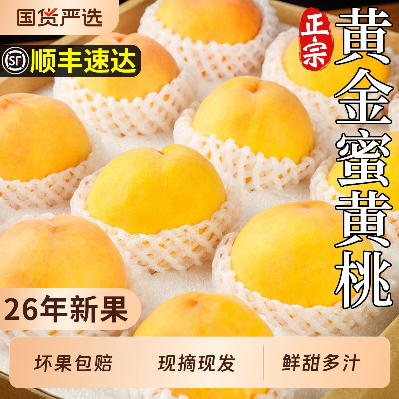 顺丰黄金蜜黄桃新鲜水果桃子现摘锦桃脆甜绣毛桃孕妇当季整箱鲜果