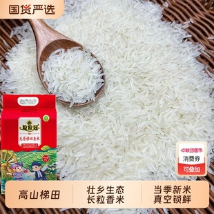 優(yōu)質(zhì)梯田香米長(zhǎng)壽鄉(xiāng)新米長(zhǎng)粒香米絲苗米貓牙米原生態(tài)大米龍脊壯鄉(xiāng)