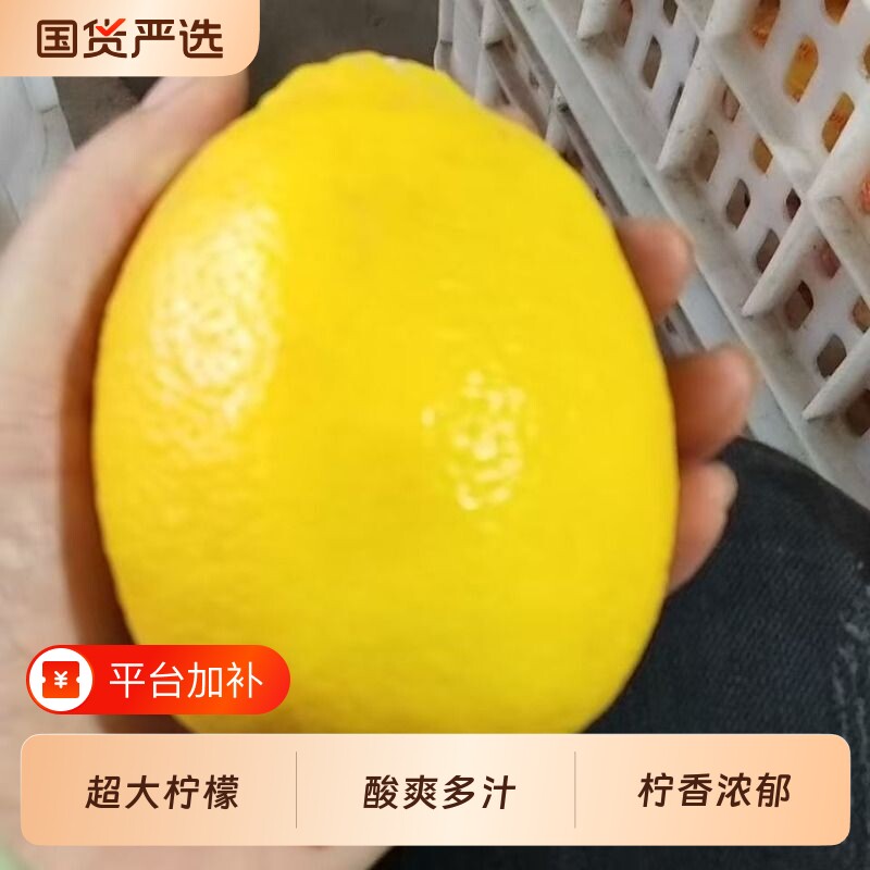 新鲜黄柠檬多规格超大果当季水果安岳柠檬出口级鲜果独立包装整箱