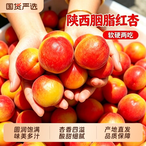正宗陕西胭脂红杏软硬两吃