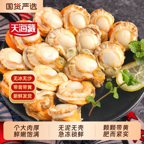 天海藏去壳扇贝肉无冰衣无沙带黄