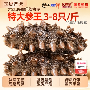 大连海参即食底播野生新鲜活辽参刺参非干货500g真空独立包装礼盒