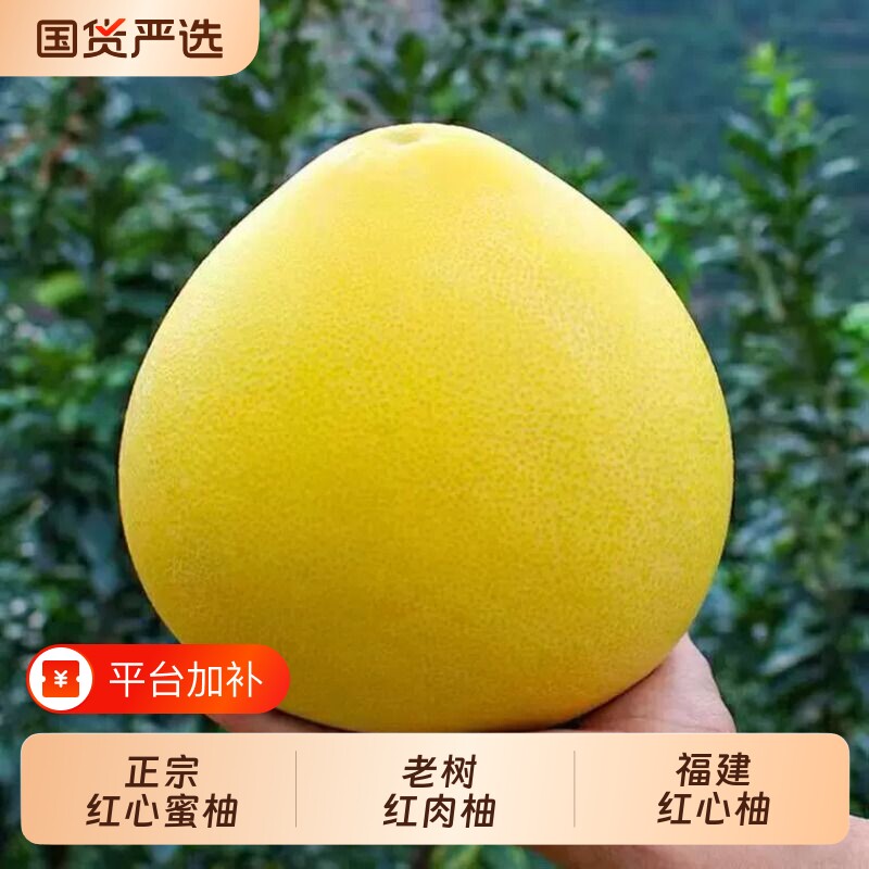 正宗红心蜜柚新鲜水果当季整箱福建平和红肉柚子超甜薄皮孕妇水果