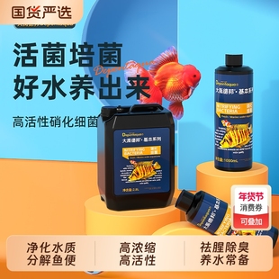 大禹硝化细菌鱼缸用水族消化液体净水剂硝化菌虾缸水质活菌活性