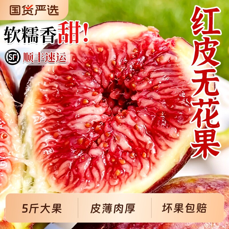 顺丰红皮无花果鲜果新鲜水果5斤现摘特大一级整箱孕妇糖包子大果