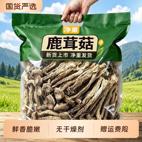 甄选新货鹿茸菇干货无硫熏脆脆菇菌菇蘑菇类特产级食材煲炖汤批发