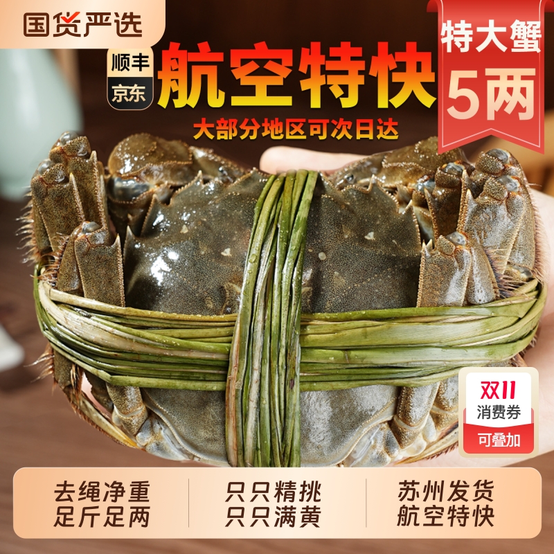 【活蟹只只满黄】阳澄后荡湖精品大闸蟹鲜活全母公超特大螃蟹5两