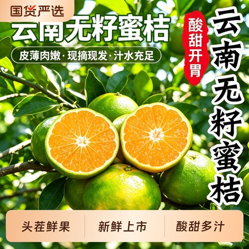 无籽蜜桔橘子青皮蜜桔